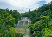 Featured Landscape