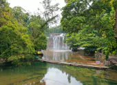 Featured Landscape