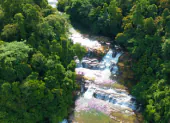 Featured Landscape