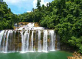 Featured Landscape